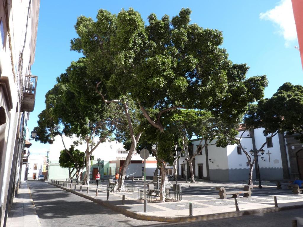 La Casa De Vegueta Apartment Las Palmas de Gran Canaria Luaran gambar
